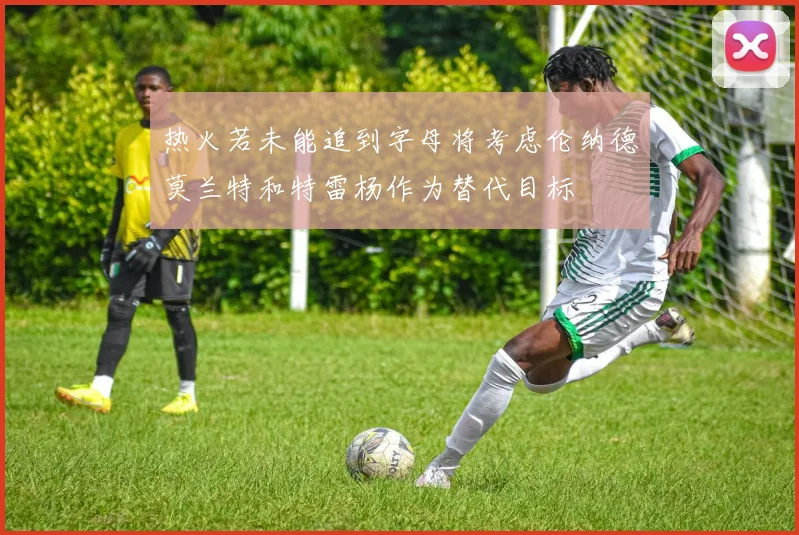 热火若未能追到字母将考虑伦纳德莫兰特和特雷杨作为替代目标